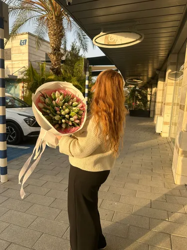 טוליפים