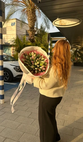 טוליפים